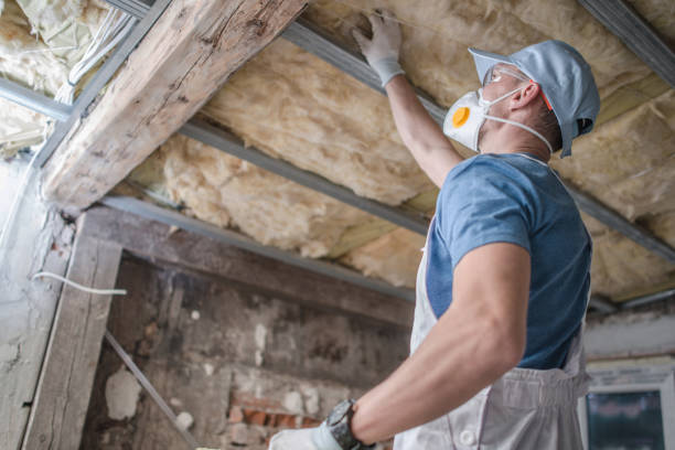 Best Energy Efficiency Insulation in Seward, AK