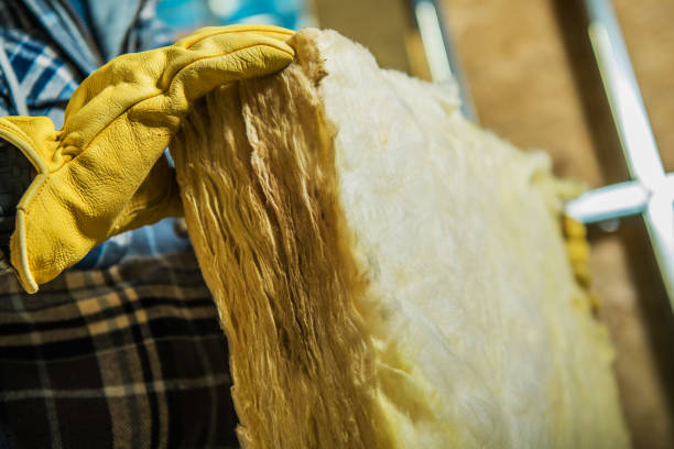Best Residential Insulation in Seward, AK