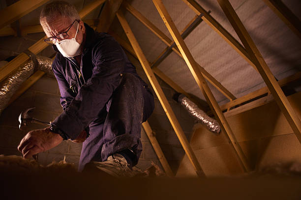 Types of Insulation We Offer in Seward, AK